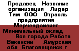 Продавец › Название организации ­ Лидер Тим, ООО › Отрасль предприятия ­ Мерчендайзинг › Минимальный оклад ­ 14 200 - Все города Работа » Вакансии   . Амурская обл.,Благовещенск г.